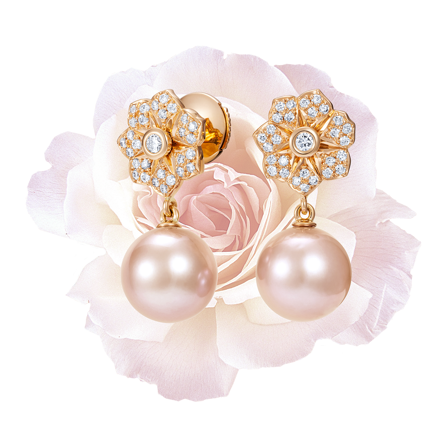 A Garden of Jewels A Garden of Jewels