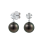 Beauchamp Tahitian and Diamond Earrings