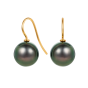 Tahitian Pearl Earrings 
