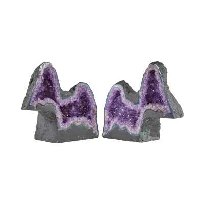 Amethyst Geode Dogs