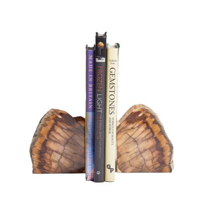 Natural Petrified Wood Bookends