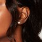 Regal Diamond Earrings 