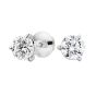 Solitaire Diamond Studs 1.60 Carats